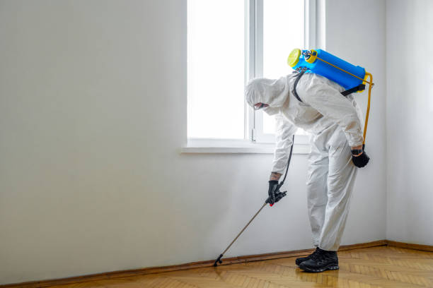 Best Fumigation Services  in Waverly, OH